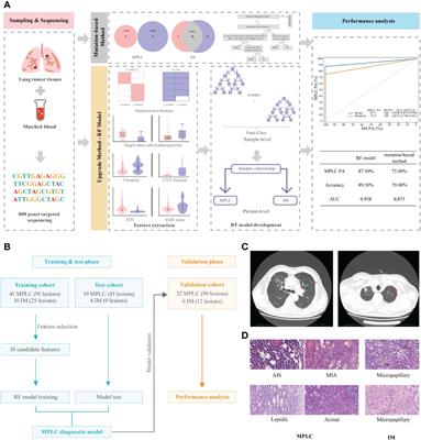 Classification of multiple primary lung cancer in patients with multifocal lung cancer: assessment of a machine learning approach using multidimensional genomic data